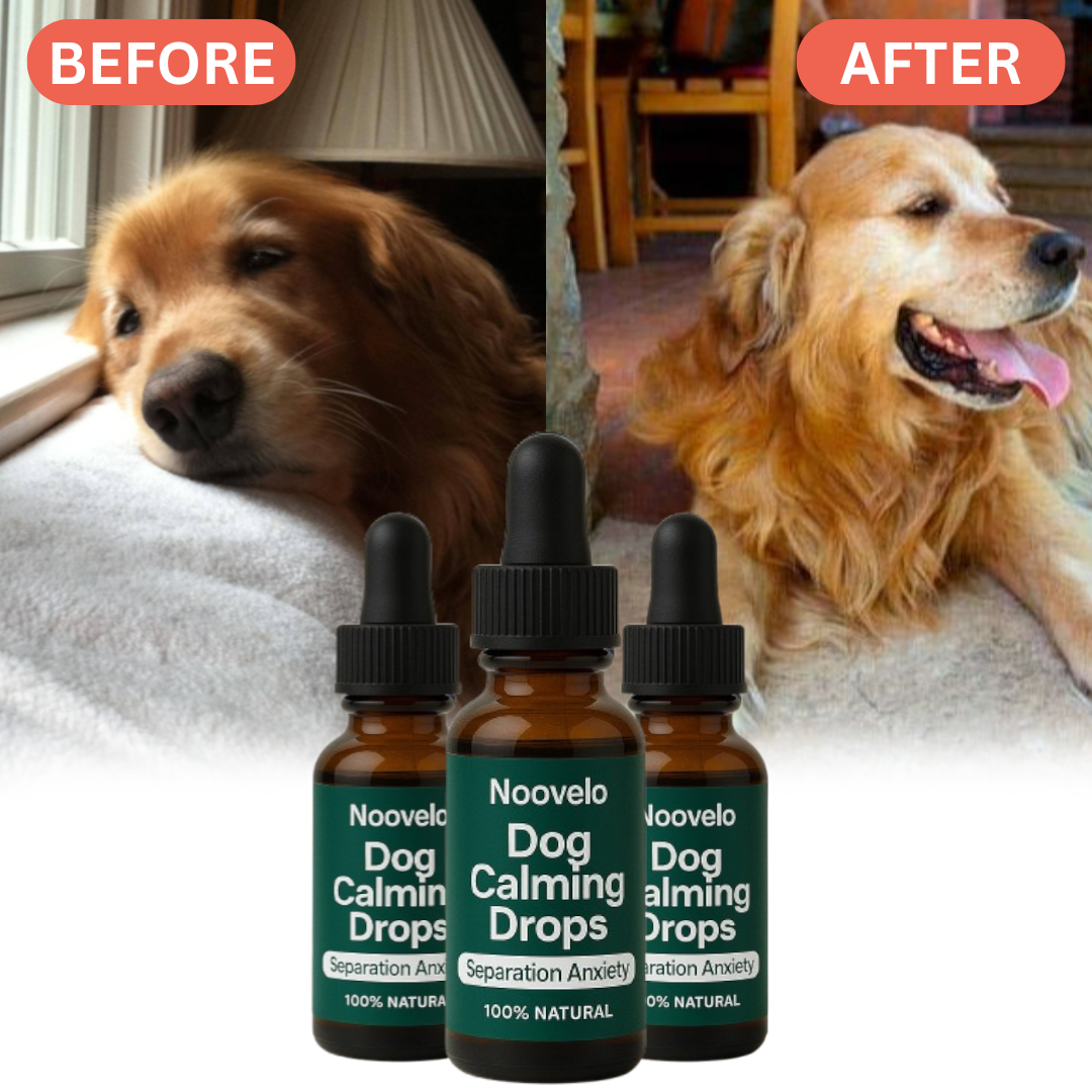 Dog Calming Drop Bottle (FREE Today)