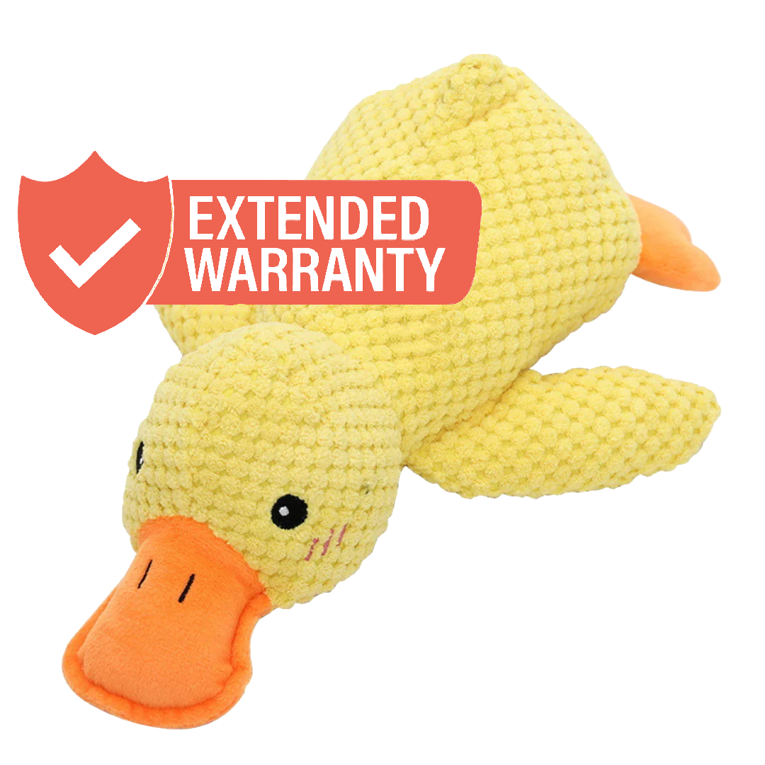 Extended Warranty Protection