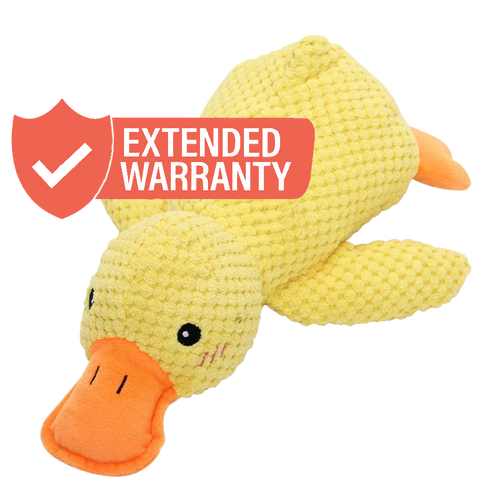 Extended Warranty Protection