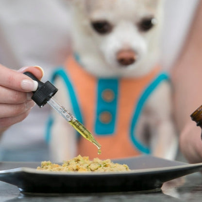 Dog Calming Drops (FREE Today)