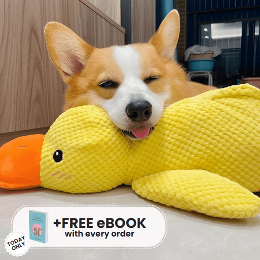 Quacker® Calming Duck Toy (FREE Today)