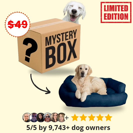 Mystery Dog Box