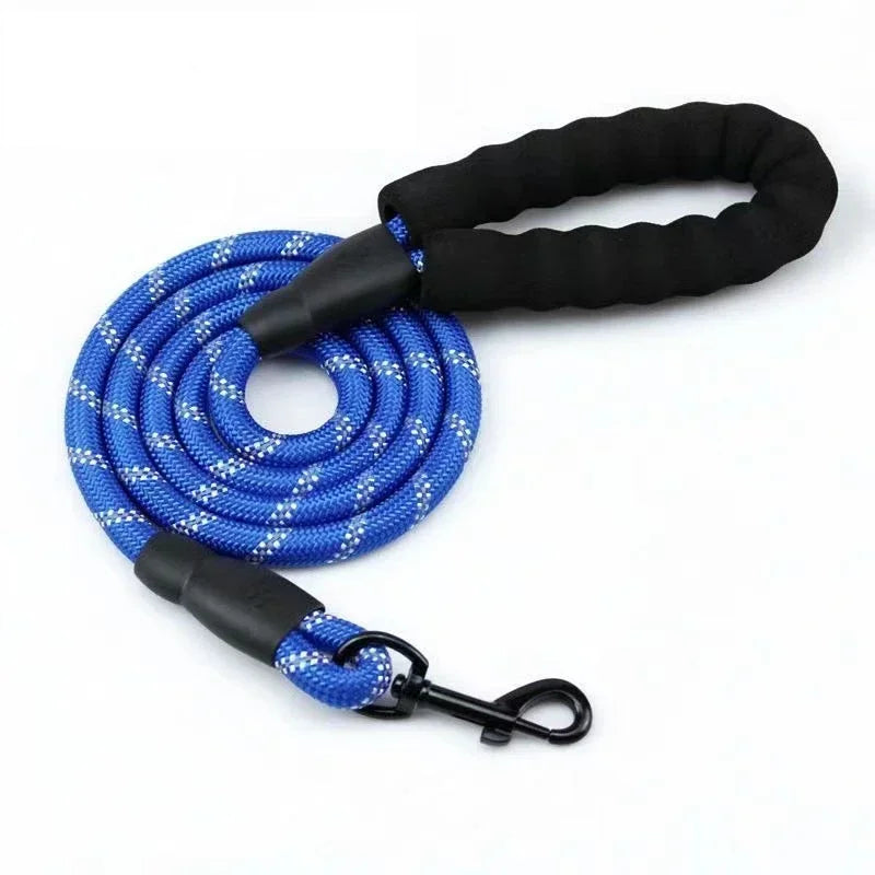 Only-Fitting Dog Leash! (One-Time Offer)