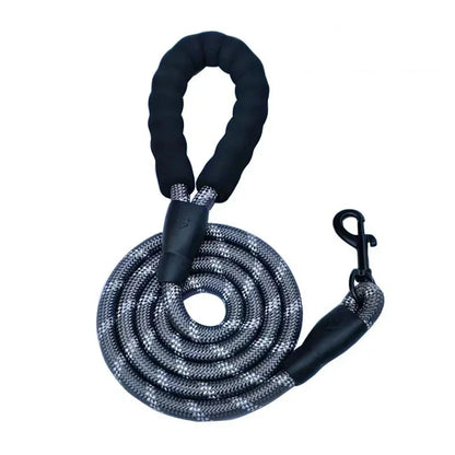 Only-Fitting Dog Leash! (One-Time Offer)