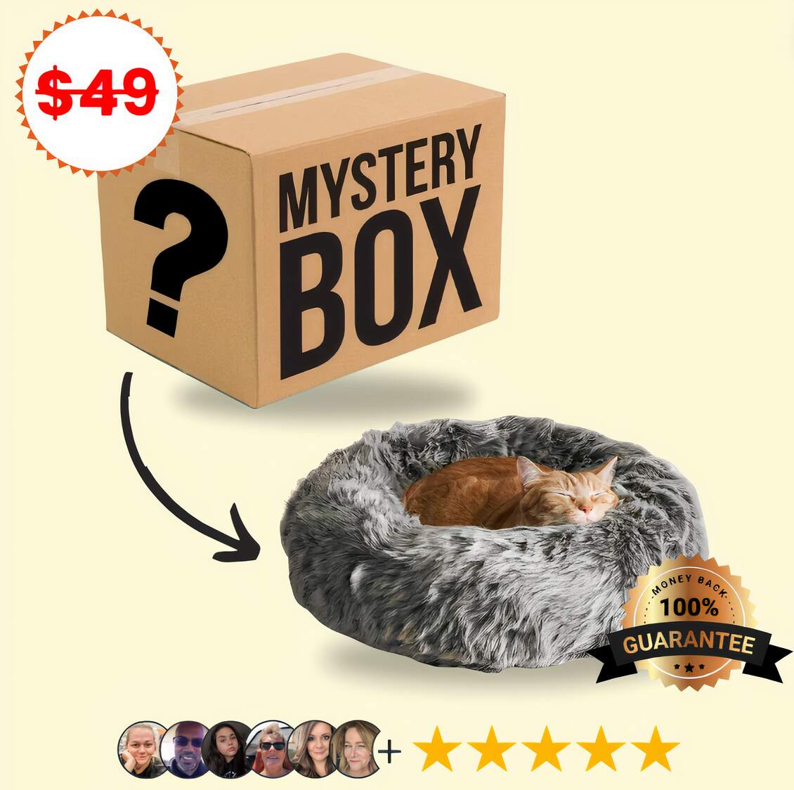 Mystery Cat Box (FREE SHIPPING)