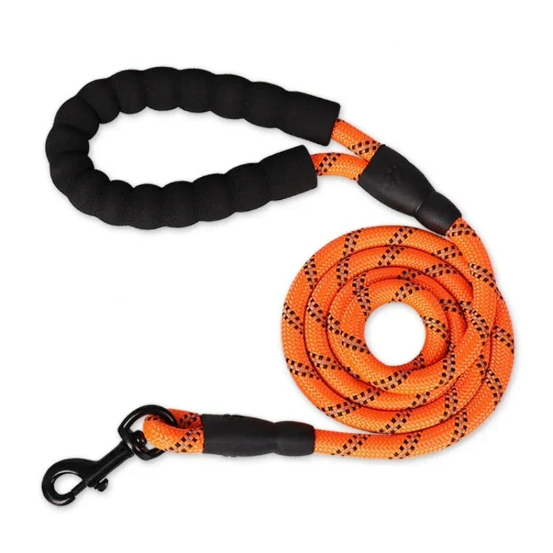 Only-Fitting Dog Leash! (One-Time Offer)