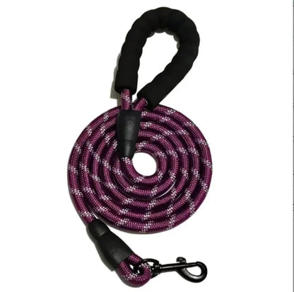 Only-Fitting Dog Leash! (One-Time Offer)