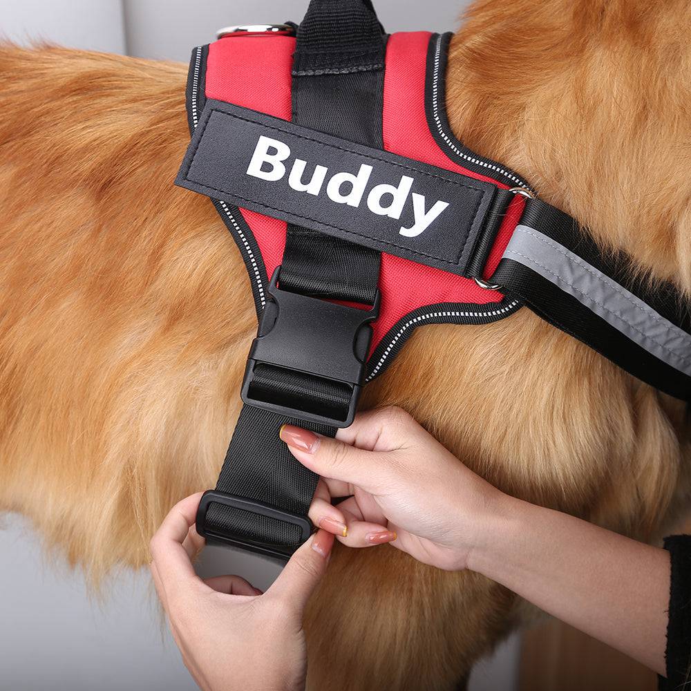 No Pull Personalized Dog Harness (FREE Today)