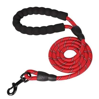 Only-Fitting Dog Leash! (One-Time Offer)