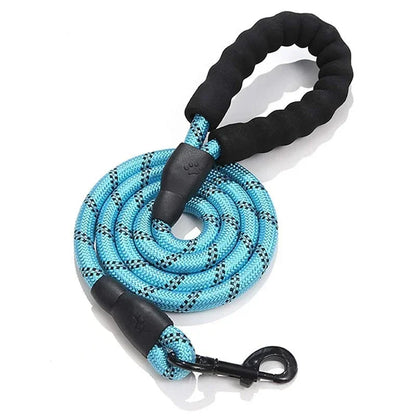 Only-Fitting Dog Leash! (One-Time Offer)